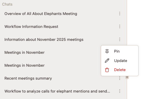 Close-up of a chat's three-dot menu in the left panel: Pin, Update, Delete