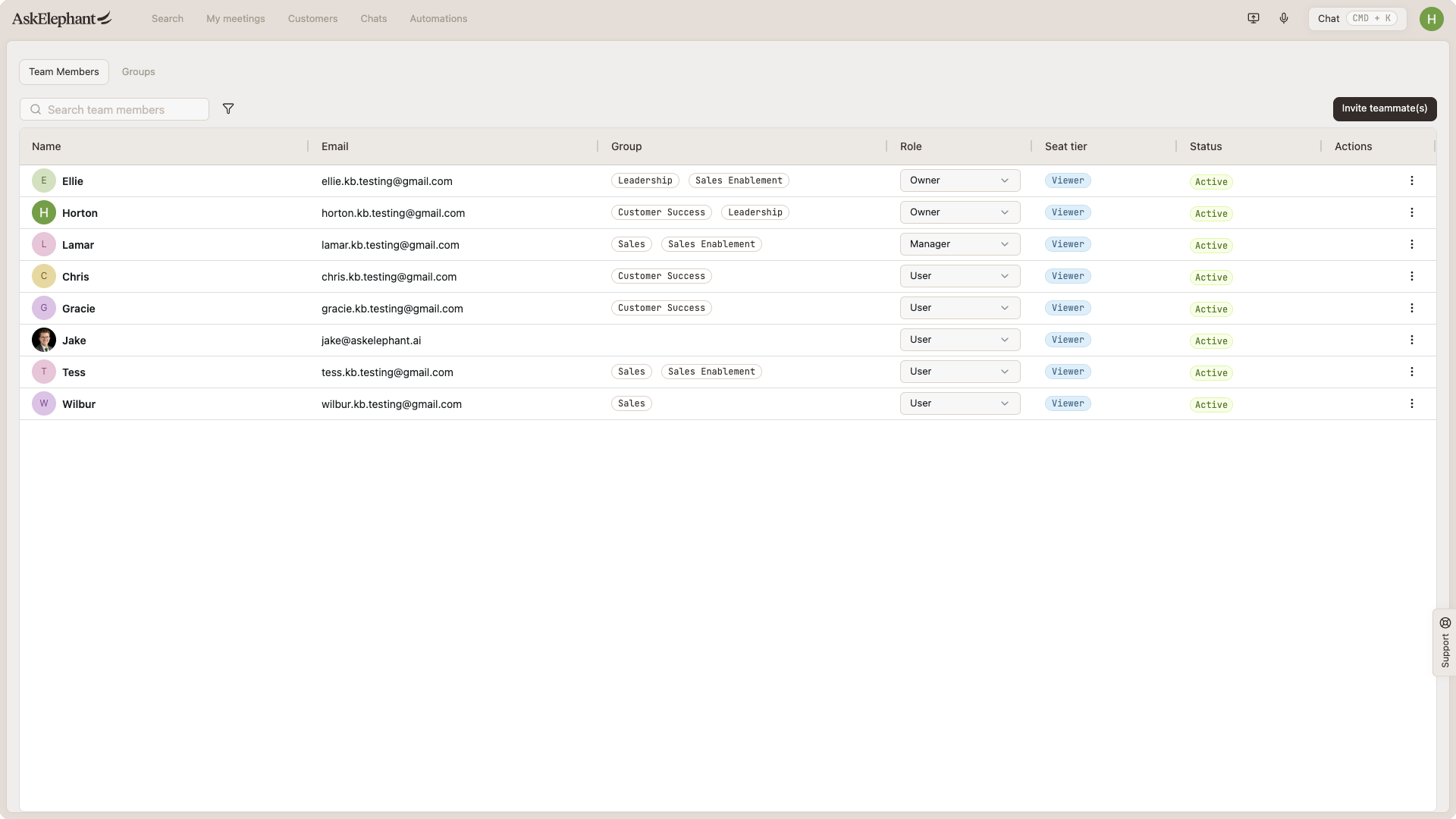 The Team members table in AskElephant workspace settings, showing each member alongside a Role column set to Owner, Manager, or User.